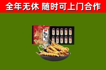 稷山县回收冬虫夏草价格